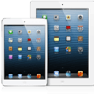 ipad mini handleiding